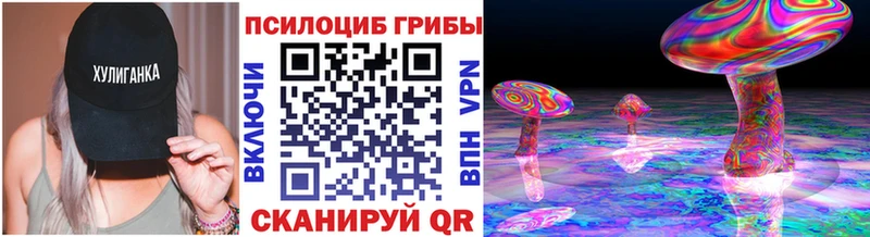 купить   Балабаново  Галлюциногенные грибы Magic Shrooms 